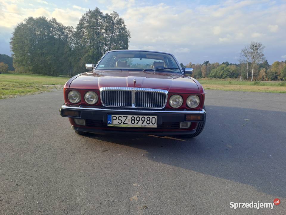 JAGUAR DAIMLER XJ81 V12