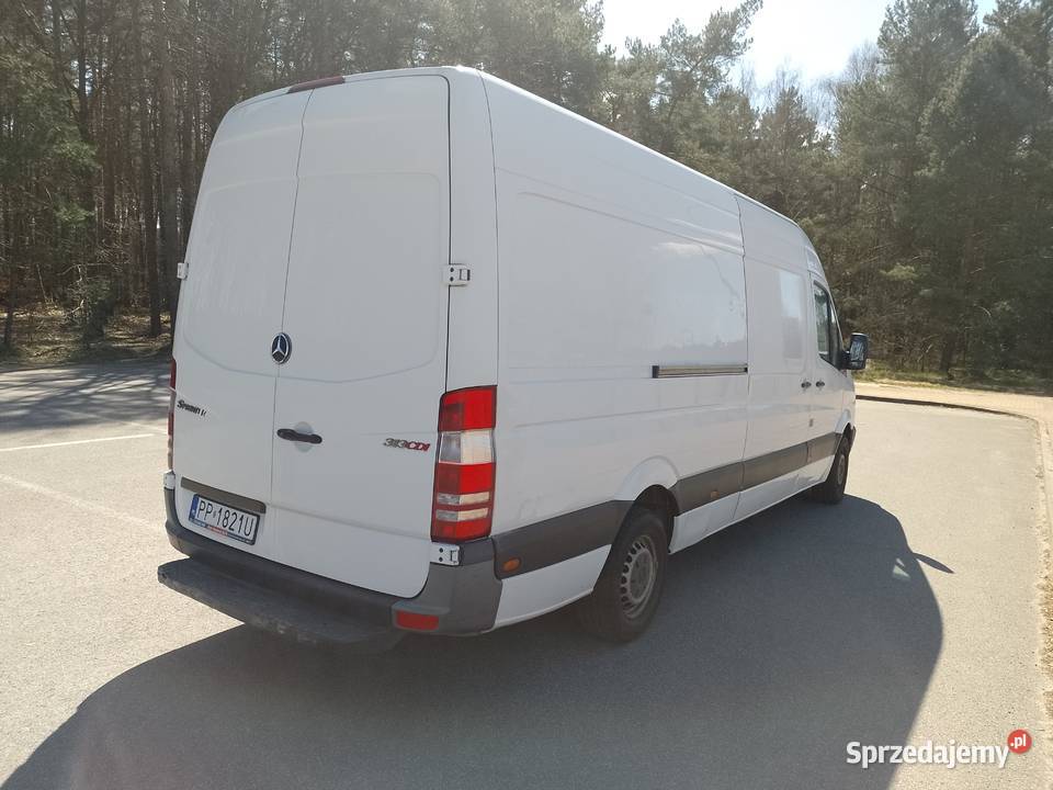 Sprinter 313 diesel Mercedes-Benz wielkopolskie Chodzież