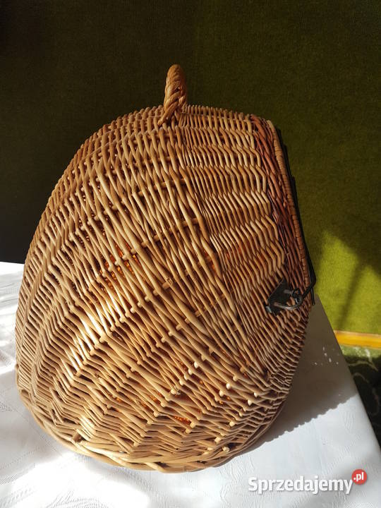 Transporter kota Tarnowskie Góry