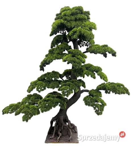 Sztuczne drzewko Bonsai Premium 180x80x200 małopolskie Golkowice