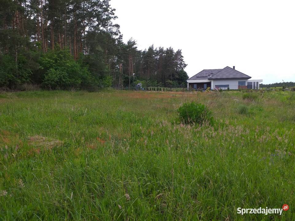 DZIAŁKA BUDOWLANA PIŁA DOLASZEWO 1500m2 Piła sprzedam