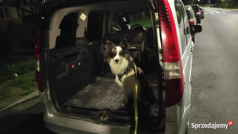 Mercedes Vaneo lubelskie Zamość