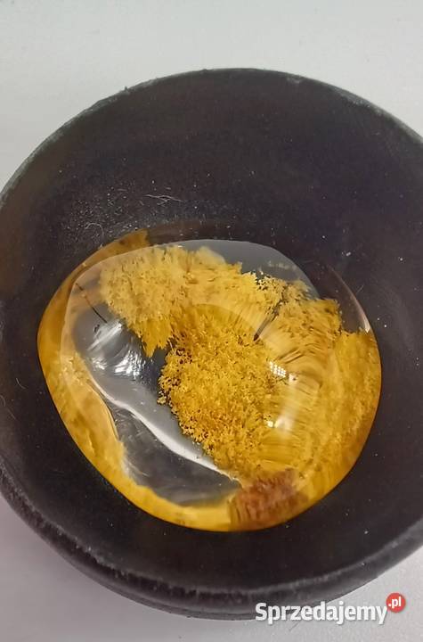 Kolekcjonerski naturalny kwarc fantomowy żółty Olsztyn