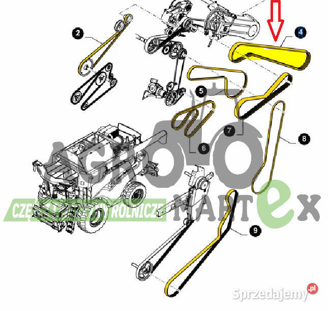 87557181 PAS NAPĘD SIECZKARNI 3HBx3500 CNH org Wichrów