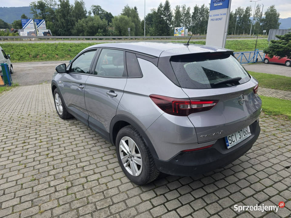 Opel Grandland X elektryczne lusterka Grandland X Ustroń