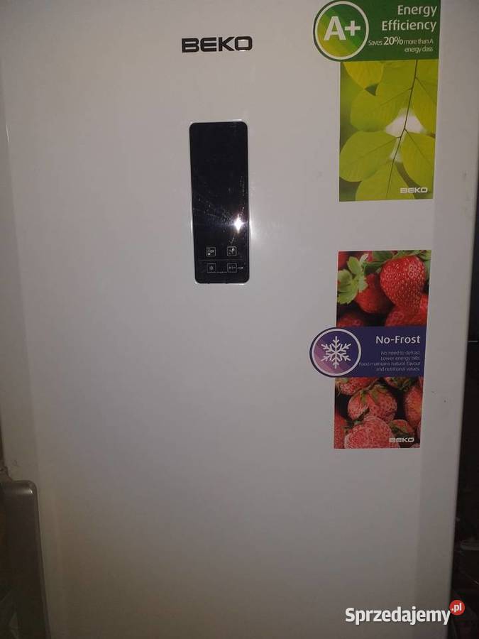 zamrażarka Beko 260 lmodel f60285ne Bydgoszcz