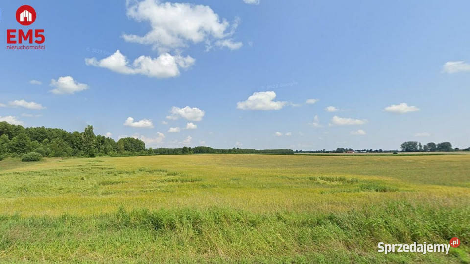 Do sprzedaży grunt Boksze Stare 50401m2 Sprzedaż Jasionówka