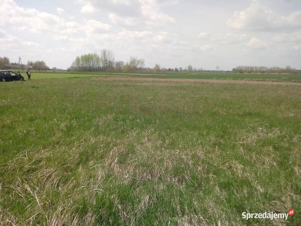 Sprzedam dzialke rolna w Horodle Horodło