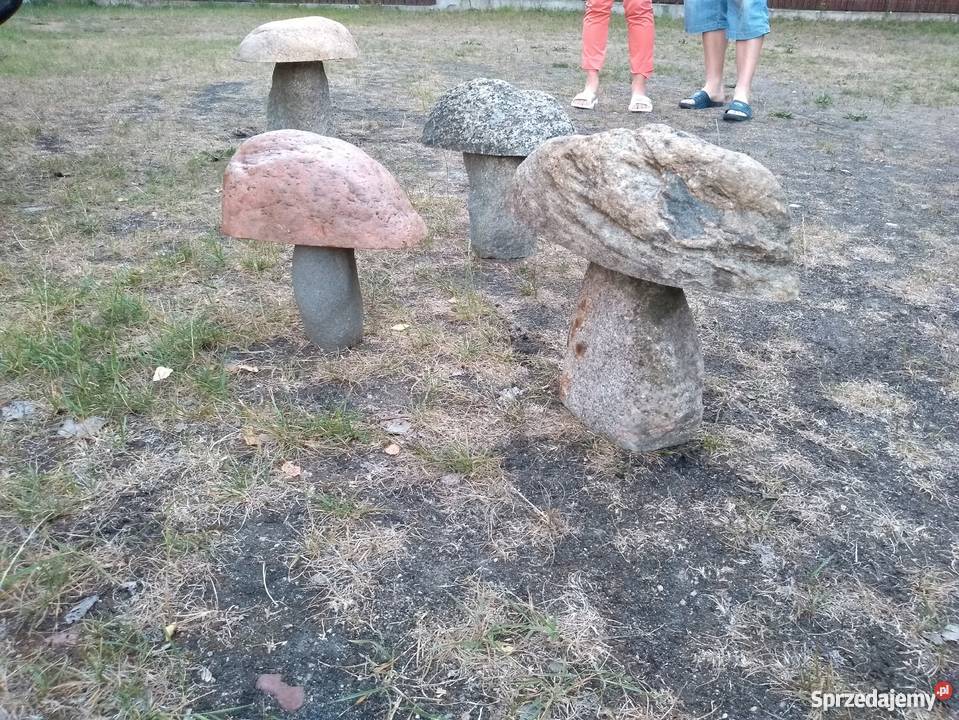 Grzyby z kamienia polnego Ogród Ruciane-Nida