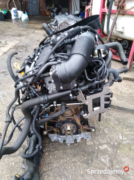Silnik 19 tdi BKC BXE Touran Caddy Passat b6 Pozostałe Pakosław
