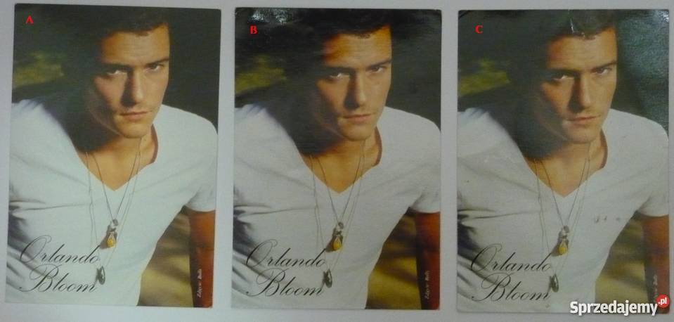 FOTO ZDJĘCIA GWIAZD BRAVO Bydgoszcz