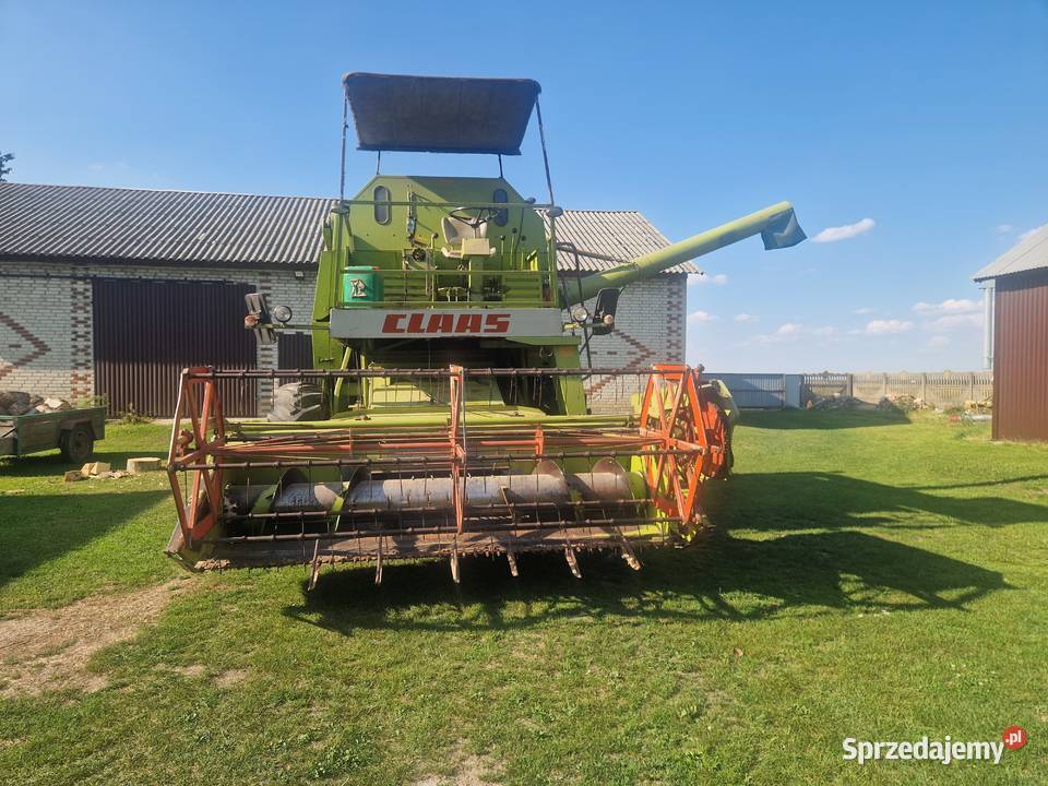 Claas Mercator 75 z sieczkarnią Zbożowe lubelskie Wola Studzieńska-Kolonia