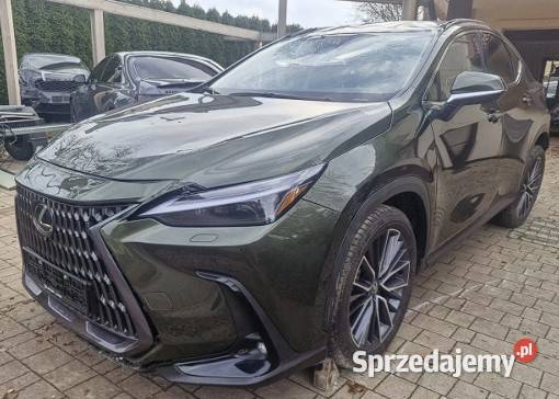 Lexus NX 350h Omotenashi AWD Salon Polska 2025R warmińsko-mazurskie Olsztyn sprzedam