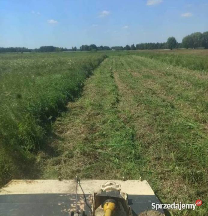 Koszenie nieużytków mulczowanie koszenie trawy Paprotnia
