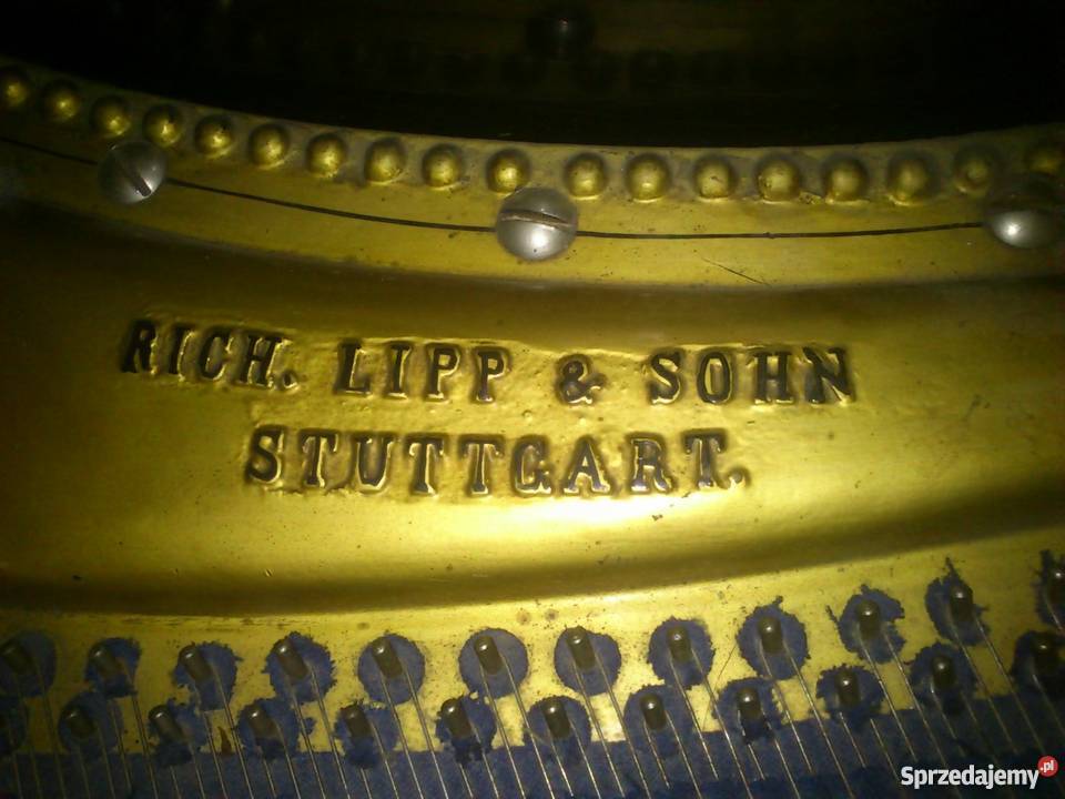 FORTEPIAN wielkopolskie Poznań