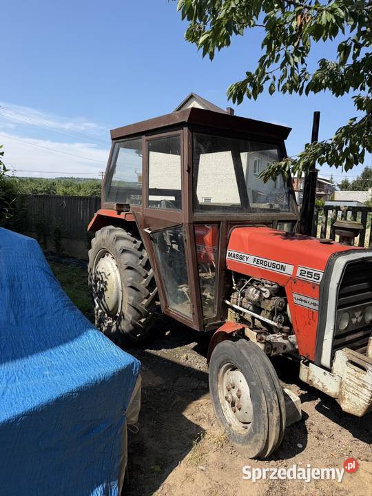 Massey Ferguson 255 Massey Ferguson Ciągniki Wiślica