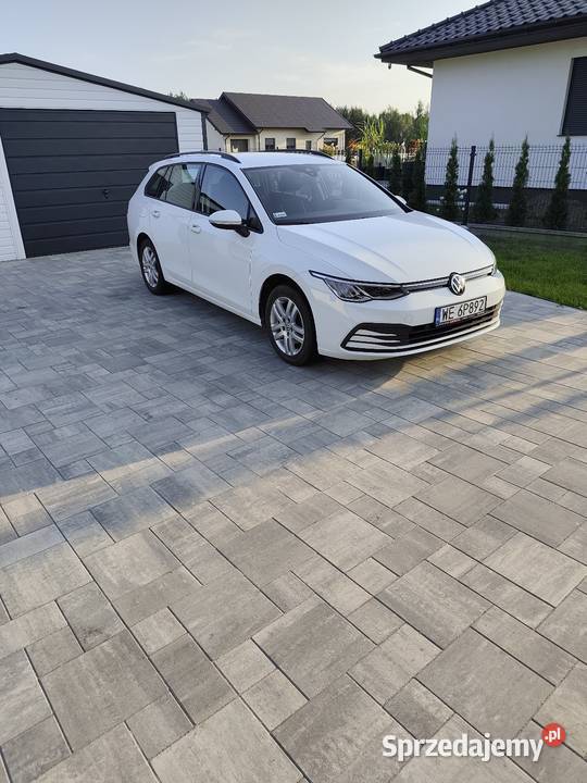 Golf VIII 10 Evo Turek