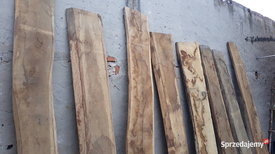 Deska dębowa brus monolit sezonowane dolnośląskie Głogów