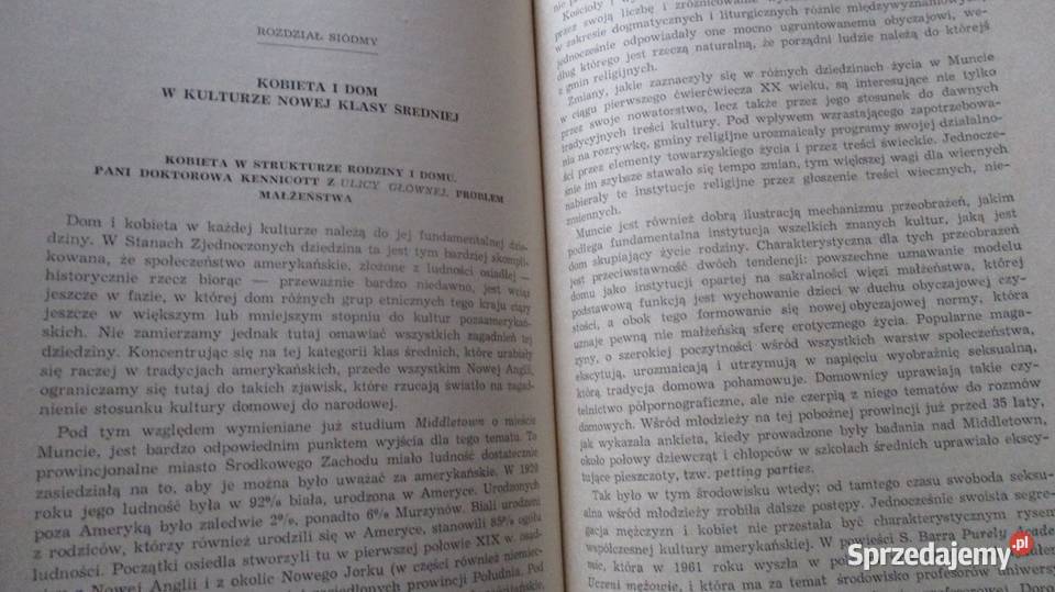 Kultura amerykańska Józef Hałasińskisocjologia Łódź sprzedam