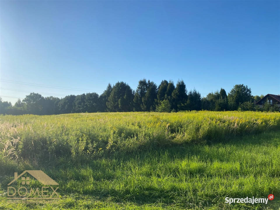 Działka 2500m2 Rybnik