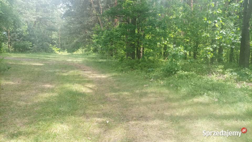 działka rekreacyjna zalewem Chechłozabudowana 28zł/m2 śląskie Nowe Chechło