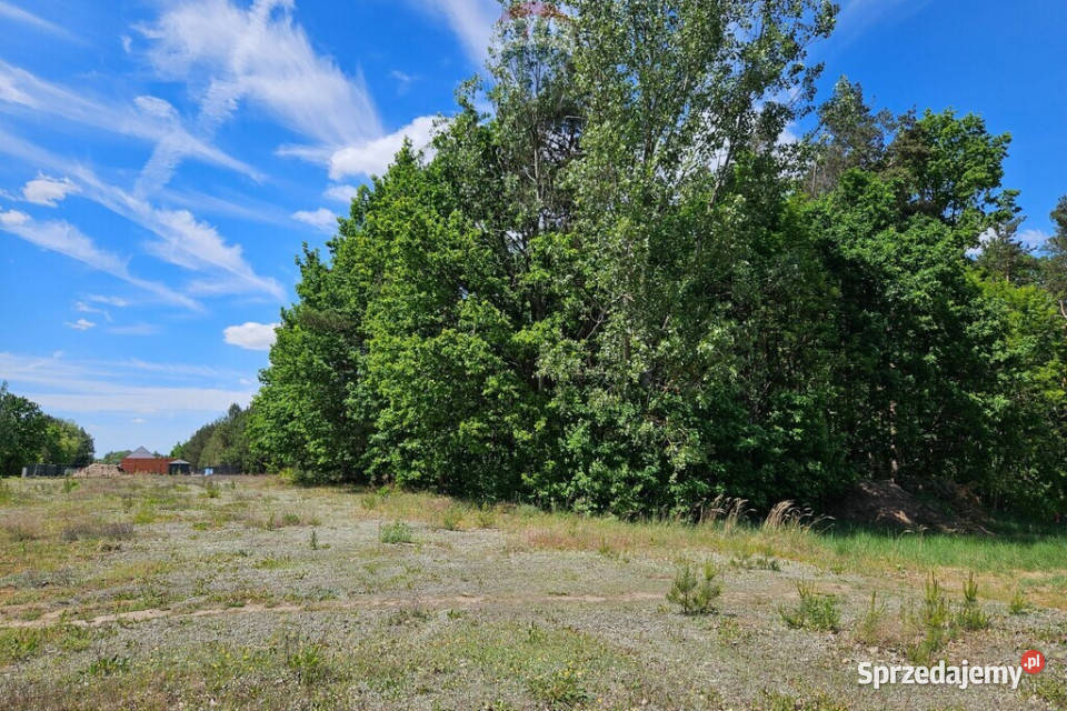 Działka budowlana 2630m2 z lasem Skierniewice sprzedam