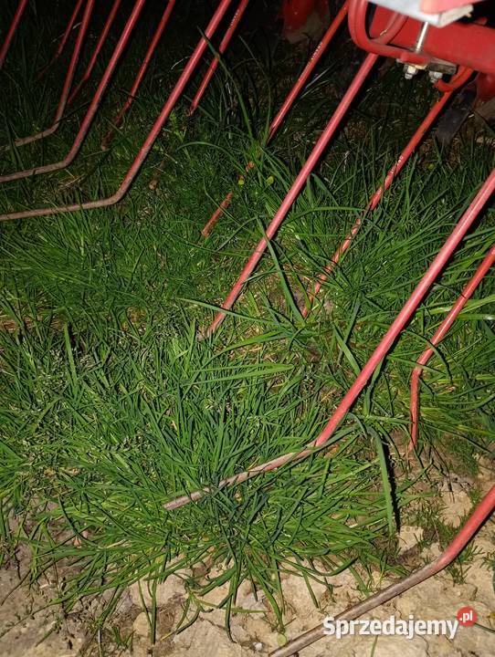 Siewnik zbożowy MaschioGaspardo M 300 amazone d8 Maszyny rolnicze Kolbuszowa