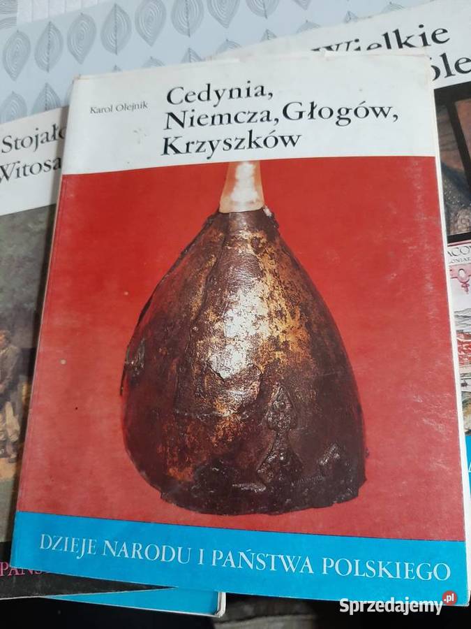 Dzieje Narodu i Państwa Polskiego Stronie Śląskie