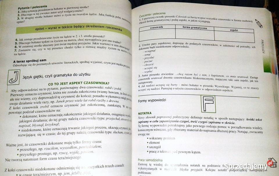Czas na polski Podręcznik gimnazjalistów kl 1 Pozostałe Chełm