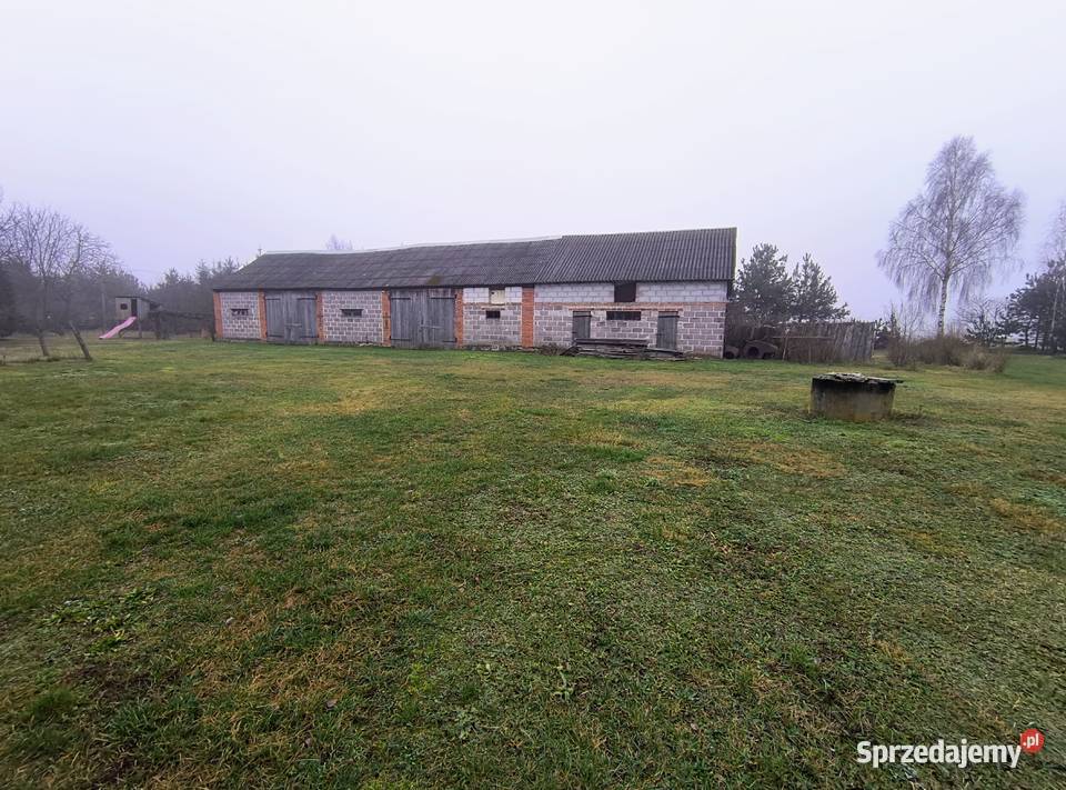 Dom z dużą działką i zabudowaniami gospodarczymi Zaświatycze sprzedam