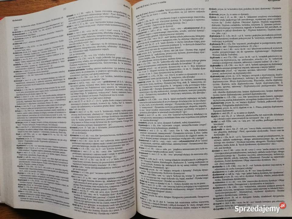 Słownik współczesnego języka polskiego ISBN 8371560680 Kraków