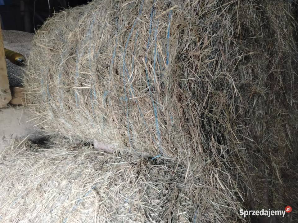 Sprzedam baloty siana Trawy, słoma świętokrzyskie Wiślica sprzedam