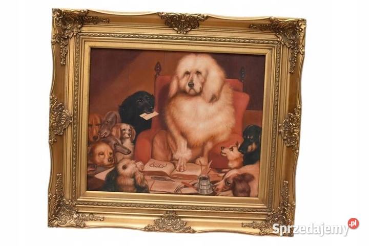 Śmieszne Psy Pies Pies Nauczyciel Złota Rama Kraków