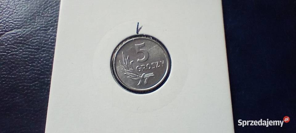 Stare monety 5 groszy 1971 skrętka Polska PRL podkarpackie