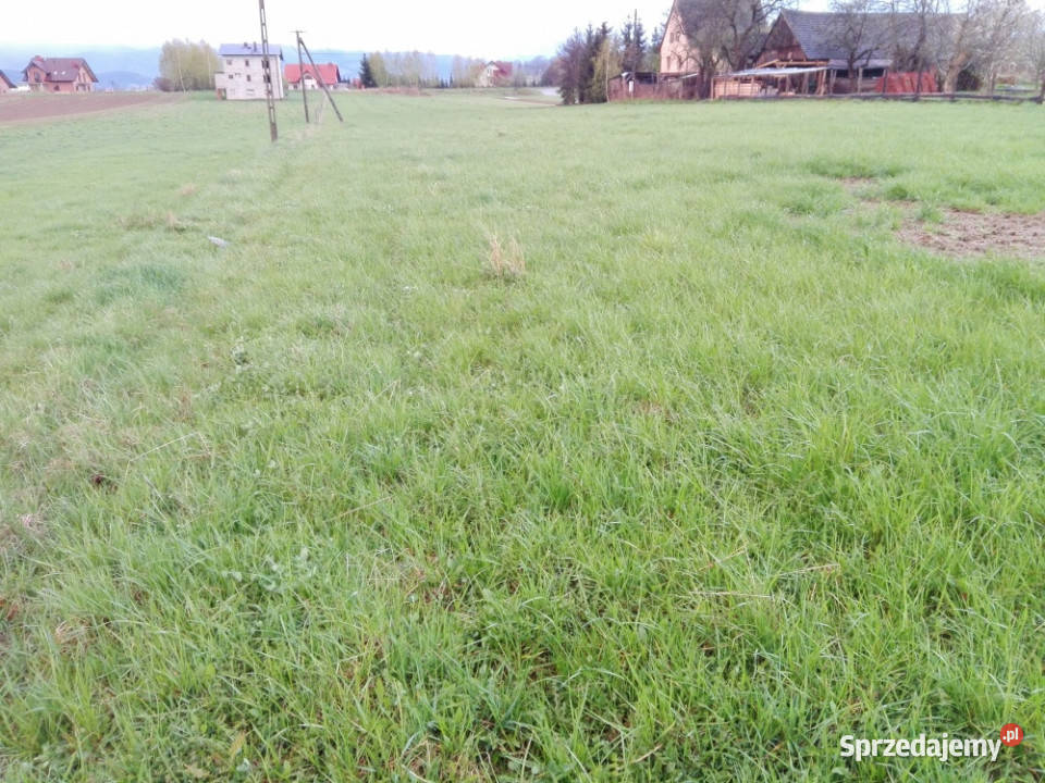 Stadła działka budowlana uzbrojona sprzedaż bez Sprzedaż