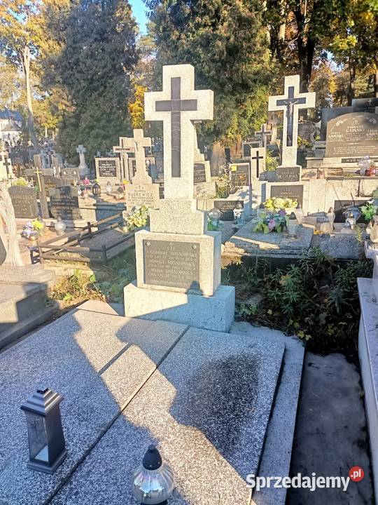 Regeneracja pomników Lastryko i inne