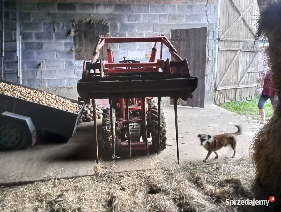 Miniladowarka waderman Nowa Zawada