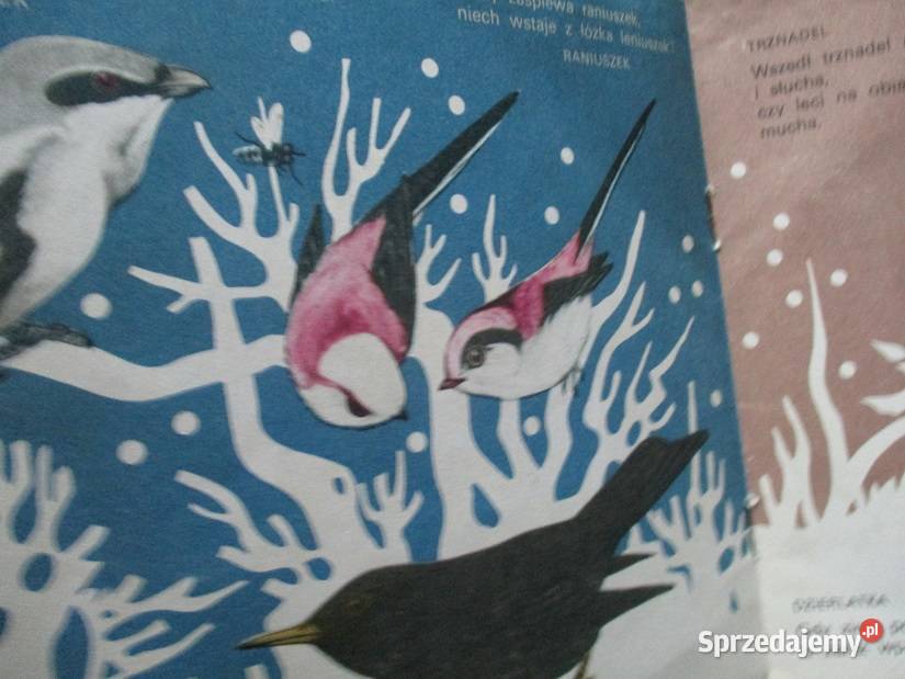 Plastusiowy pamiętnik ZOO Brzechwa Kownacka Łódź sprzedam