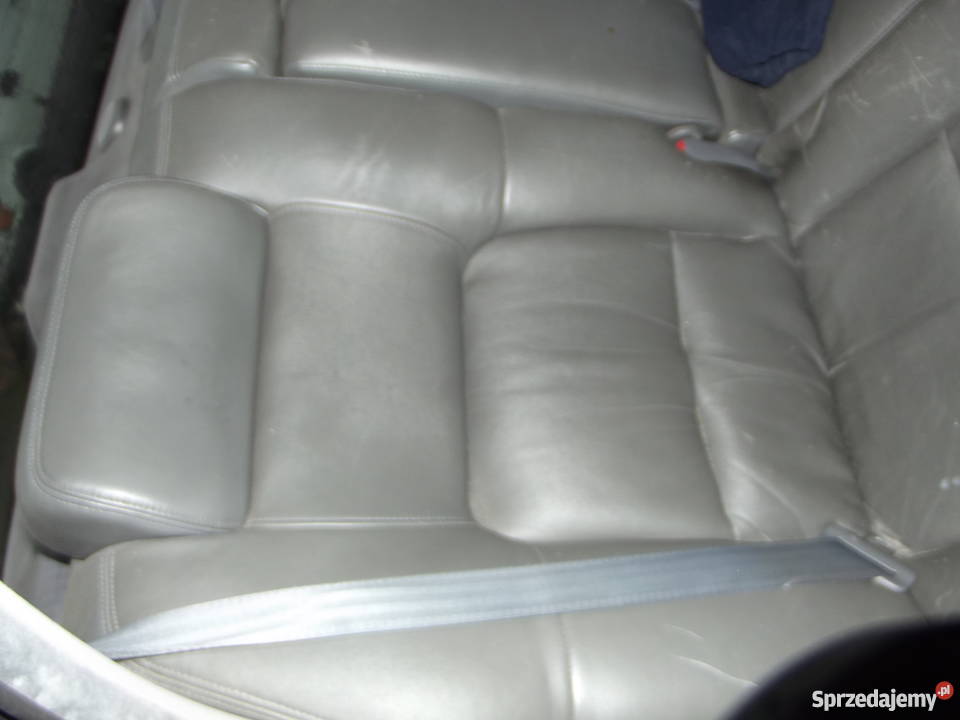 acura daewoo arcadia Pałuczyna