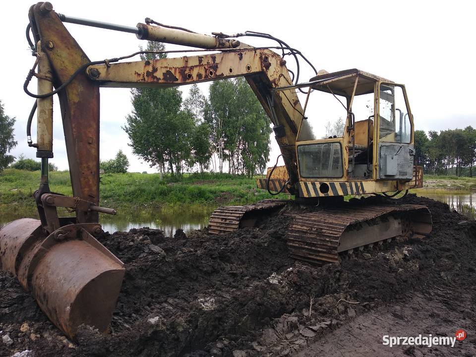 Waryński k408 Błotniak Złotnica