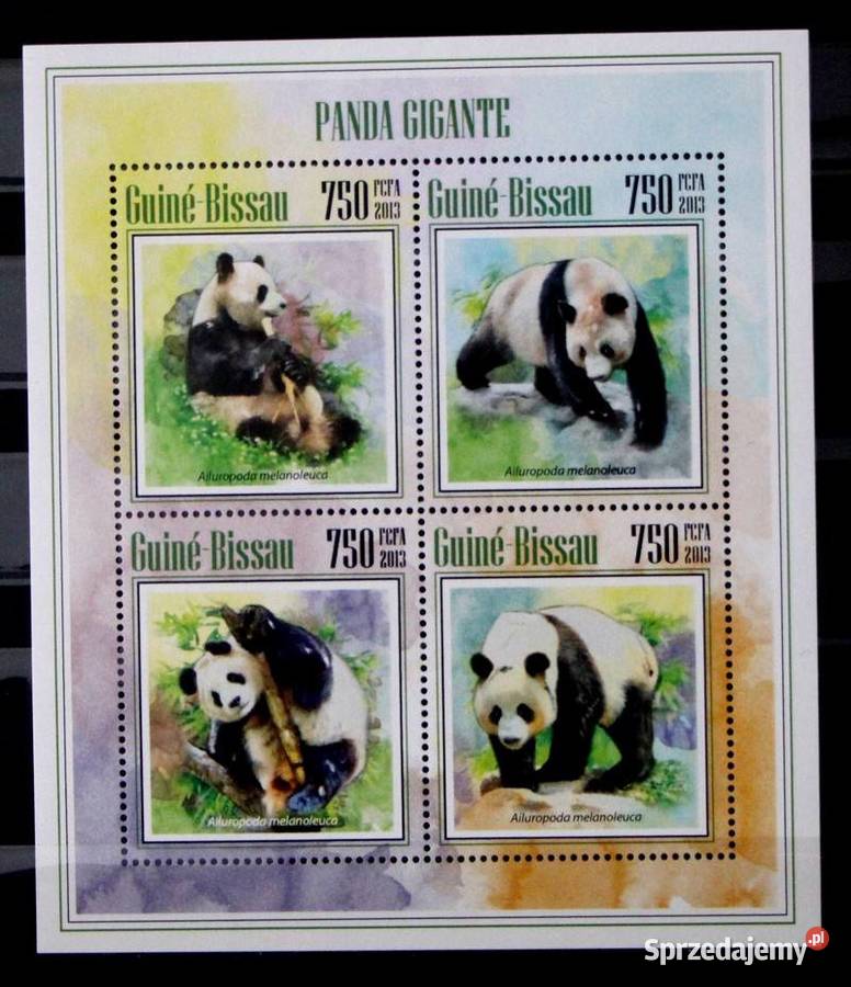 Gwinea Bissau panda 0 Oborniki