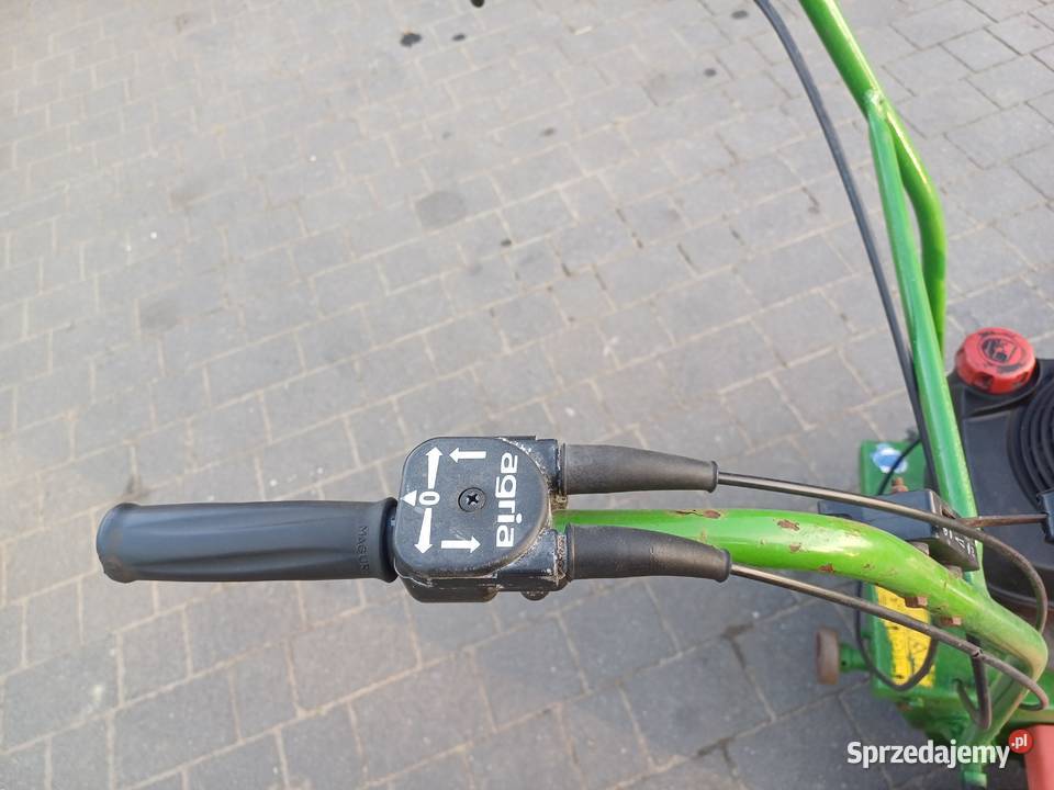 Zamiatarka spalinowa agria Narzędzia ogrodnicze