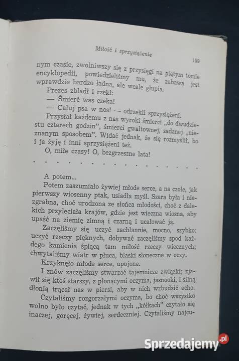 Kornel Makuszyński Bezgrzeszne lata Wydawn Koźminek