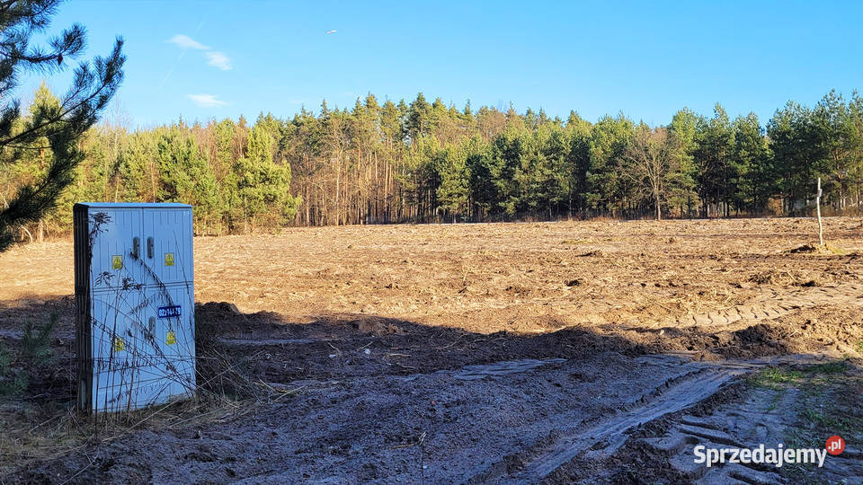 Sprzedam 6711 m2 Piskórka gm Prażmów BUDOWLANA