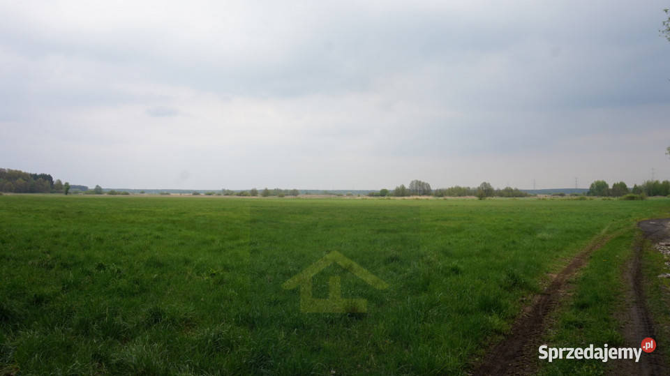 Nieruchomość w Całowaniu Całowanie