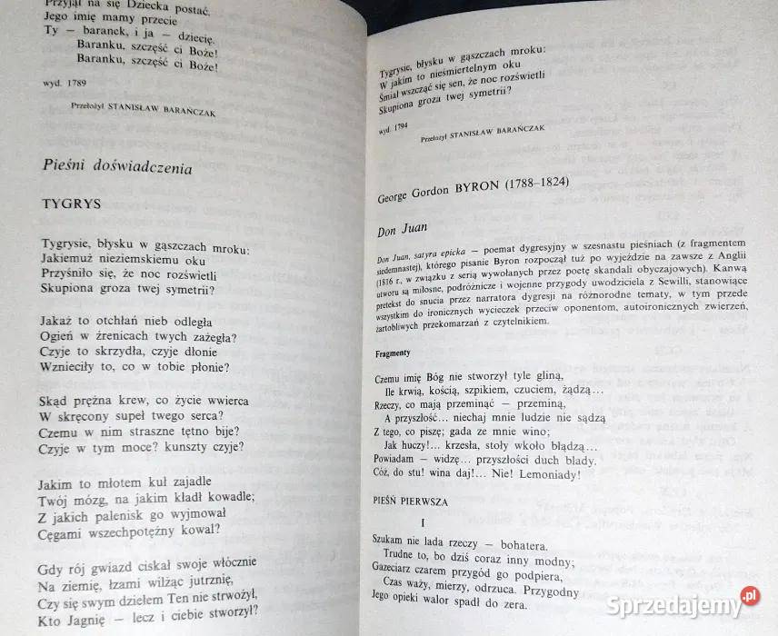 Romantyzm Alicja Badowska Tomasz Przedpełski sprzedam