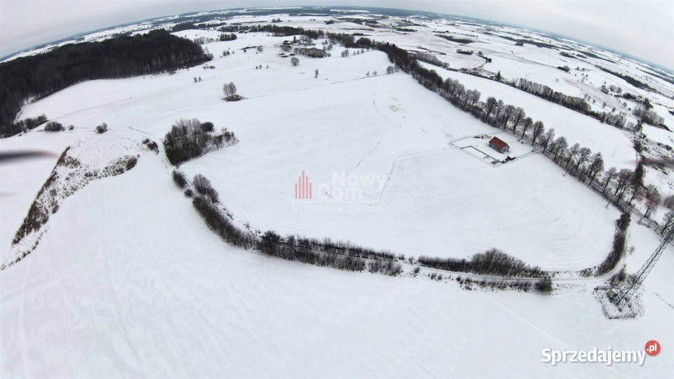 Grunt Pańska Wola 127723m2 asfalt Sprzedaż