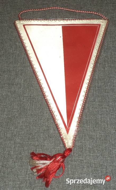 Wyższa Szkoła Pedagogiczna WSP Kielce Pakistan Piekary Śląskie sprzedam