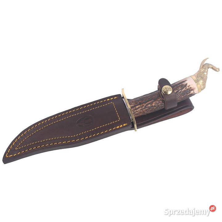 Nóż Muela Big Five Deer Stag Satin 14116 Gift mazowieckie
