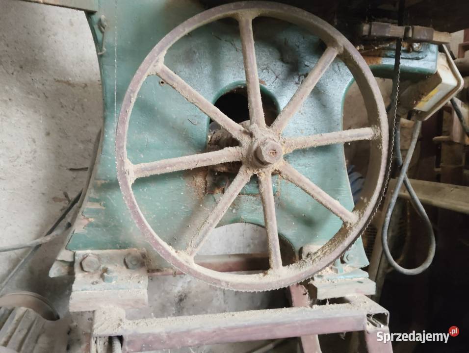 Piła taśmowa do drewna Grzechynia